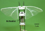 Flapping Wing Technology for Micro Air Vehicles Incorporating a Lead Zirconate Titanate (PZT) Bimorph Actuator